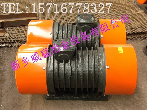 高品質(zhì)WLZD-2*17-4直線自振源 大量生產(chǎn)