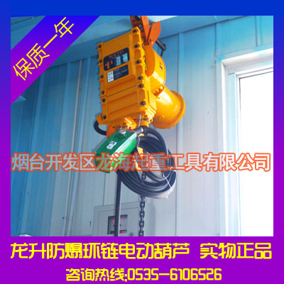 龍升防爆環(huán)鏈電動(dòng)葫蘆報(bào)價(jià)【1~35噸/現(xiàn)貨供應(yīng)】產(chǎn)品圖片