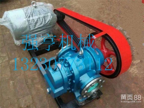 LCX不銹鋼羅茨泵用于工廠輸送各種油類(lèi)和液體