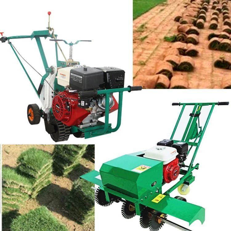  園林草坪移植機(jī) 350型草坪移植機(jī) 大馬力起草皮機(jī)