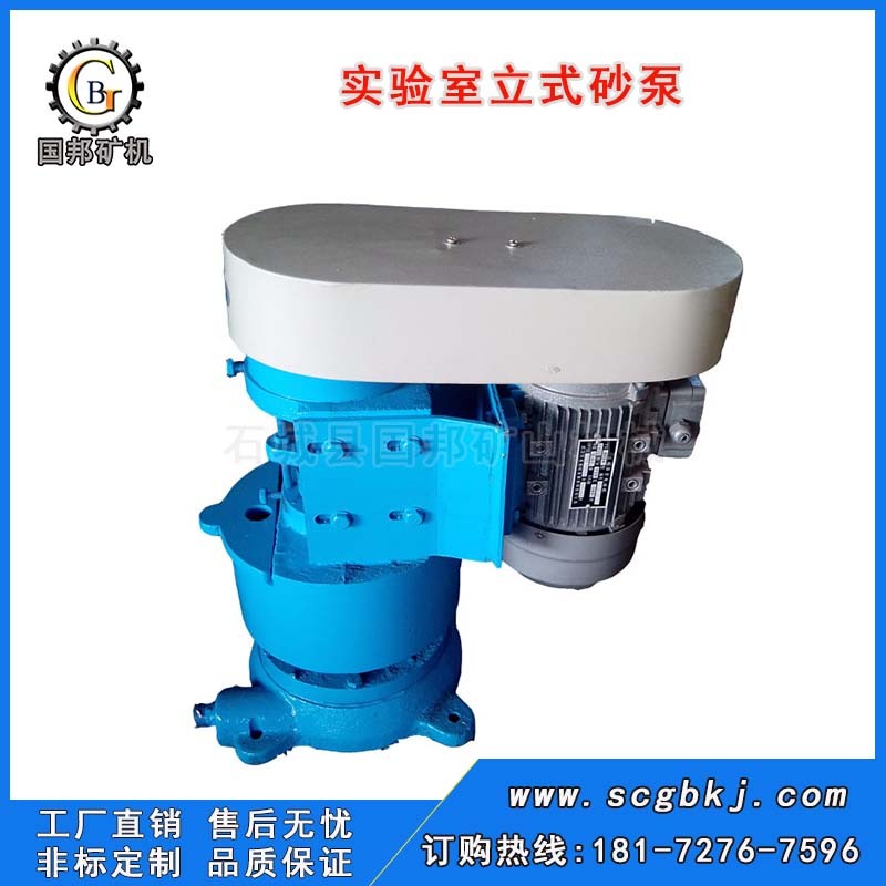 實(shí)驗(yàn)室砂泵 XBSL立式砂泵 小型礦漿輸送泵 尾礦渣漿泵產(chǎn)品圖片