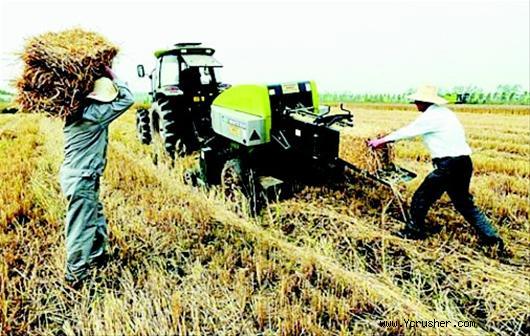 麥?zhǔn)崭罴竟?jié)，荊州市在江北農(nóng)場(chǎng)推廣秸稈綜合利用，展示多種收割、收集、打包和運(yùn)輸?shù)冉斩捇厥障嚓P(guān)的機(jī)械設(shè)備，以及后期綜合利用的方法和手段。